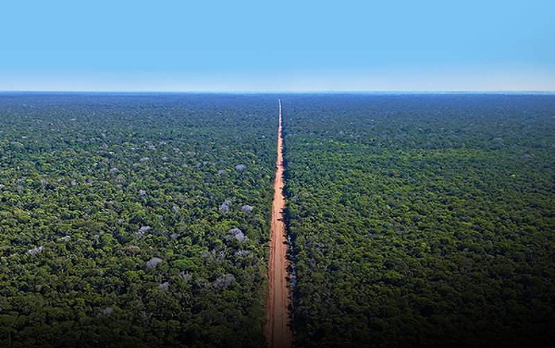 Amazonas, o maior da Amazônia